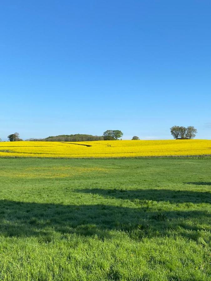 Schmuckstueck In Ostseenaehe Surendorf Εξωτερικό φωτογραφία